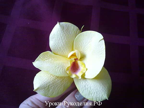 орхидея фоамиран